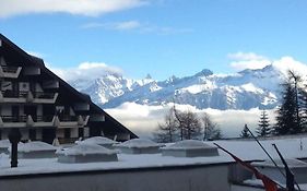 Alpine Apartment In Swiss Village Of Torgon